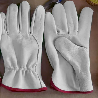 Luvas de alta qualidade para equitação ao ar livre Luvas de couro de vaca Luvas de treino Luvas de ciclismo