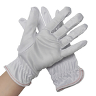 A mão branca suou as luvas de trabalho do poliéster da sala de limpeza da absorção personalizadas